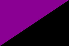 purple and black push up triangle bikini top for pole dance, raves, festivals, and swim